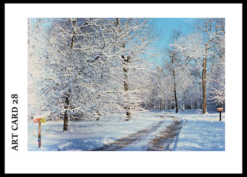 ARTCARD 28