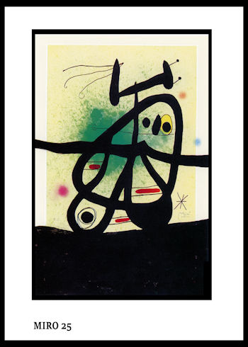 MIRO 25